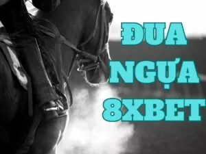 cách chơi đua ngựa 8xbet