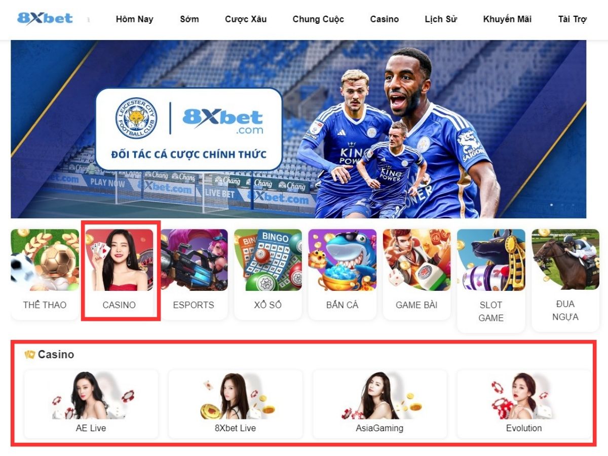 chọn sảnh chơi rồng hổ 8xbet