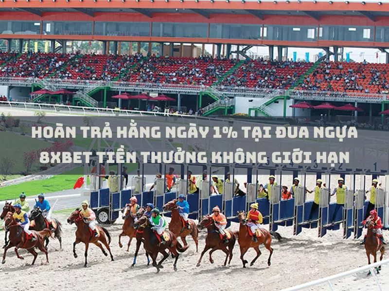 hoan tra hang ngay 1 tai dua ngua 8xbet tien thuong khong gioi han 1.jpg