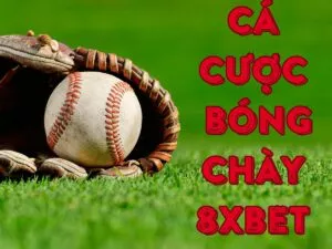 hướng dẫn chơi cá cược bóng chày 8xbet