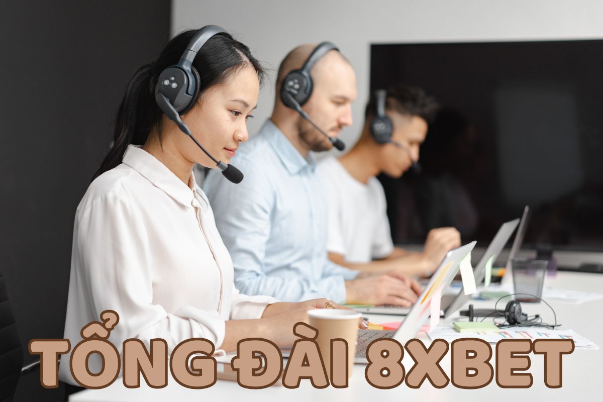 liên hệ tổng đài 8xbet