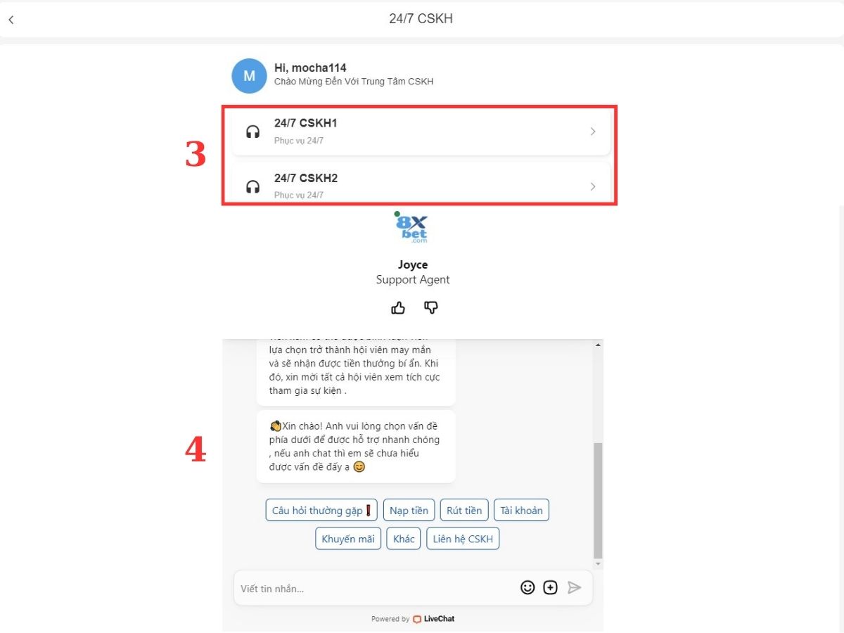 tiến hành chat với cskh 8xbet