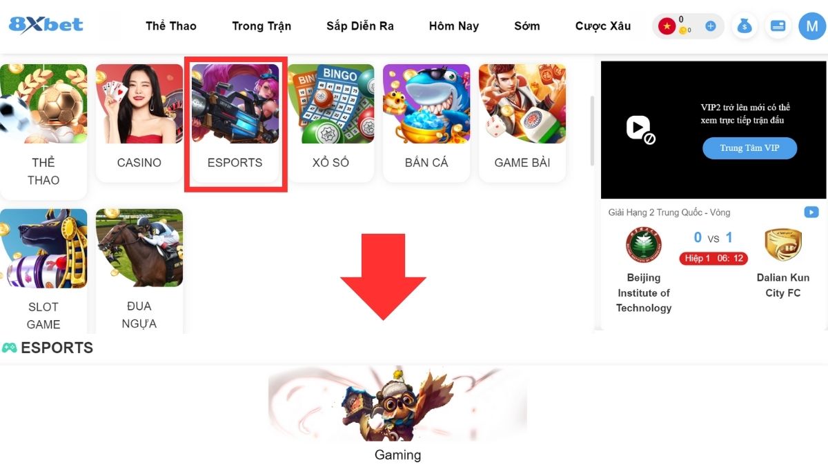 sảnh chơi cá cược warcraft 3 8xbet