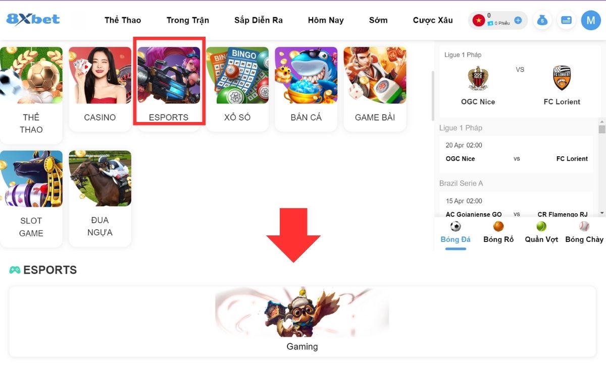 sảnh chơi cá cược mobile legends 8xbet