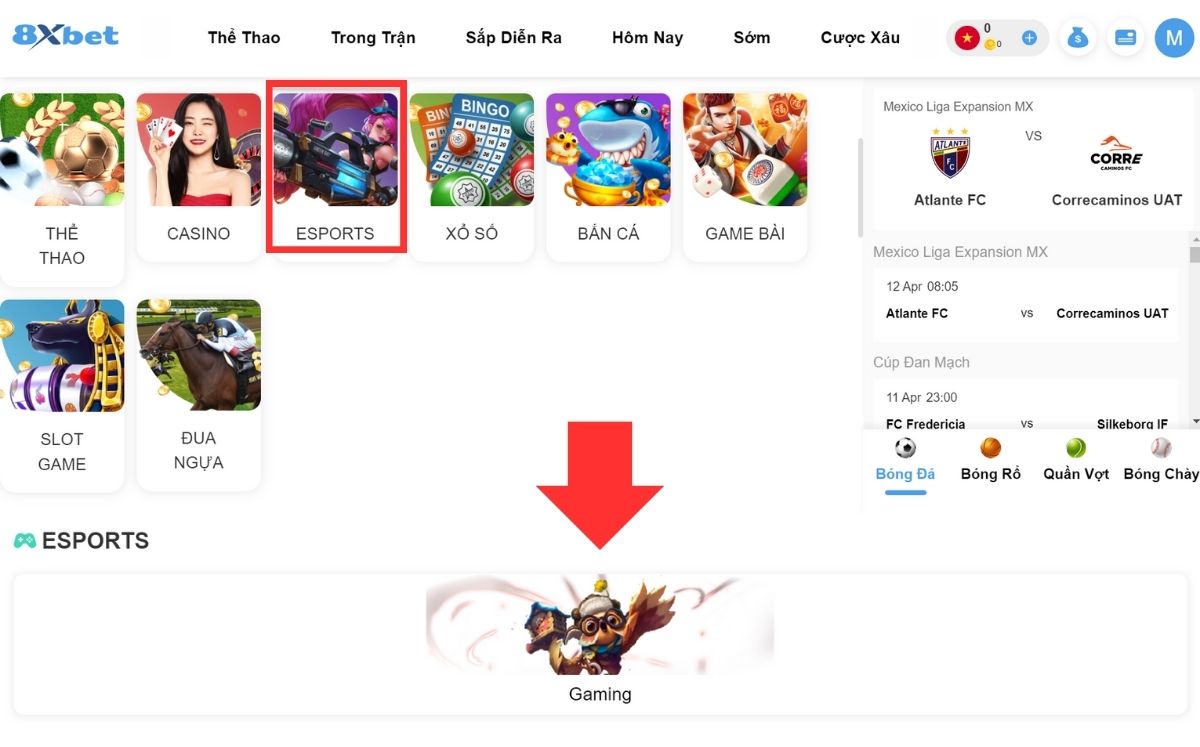 vào sảnh chơi cá cược starcraft 2 8xbet